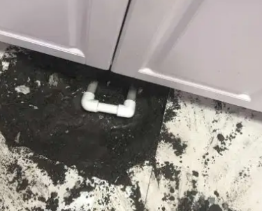 钦南查漏水哪家好